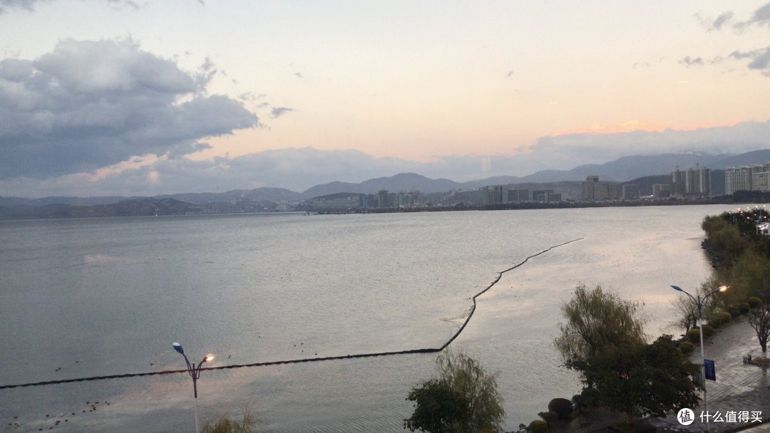 阳光+蓝天+樱花+海鸥+古城，我的元旦云南旅行