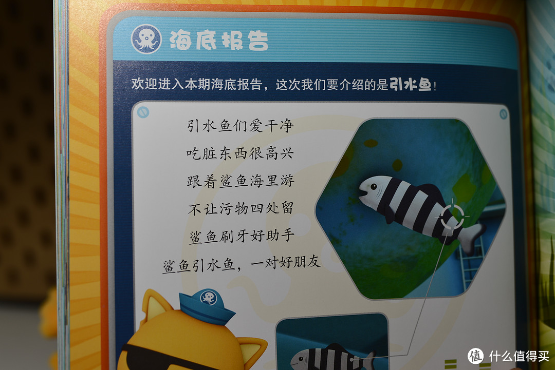 看了网上的图片，发现有点像鲅鱼。是鲈鱼那个类型的。比较典型的海鱼。