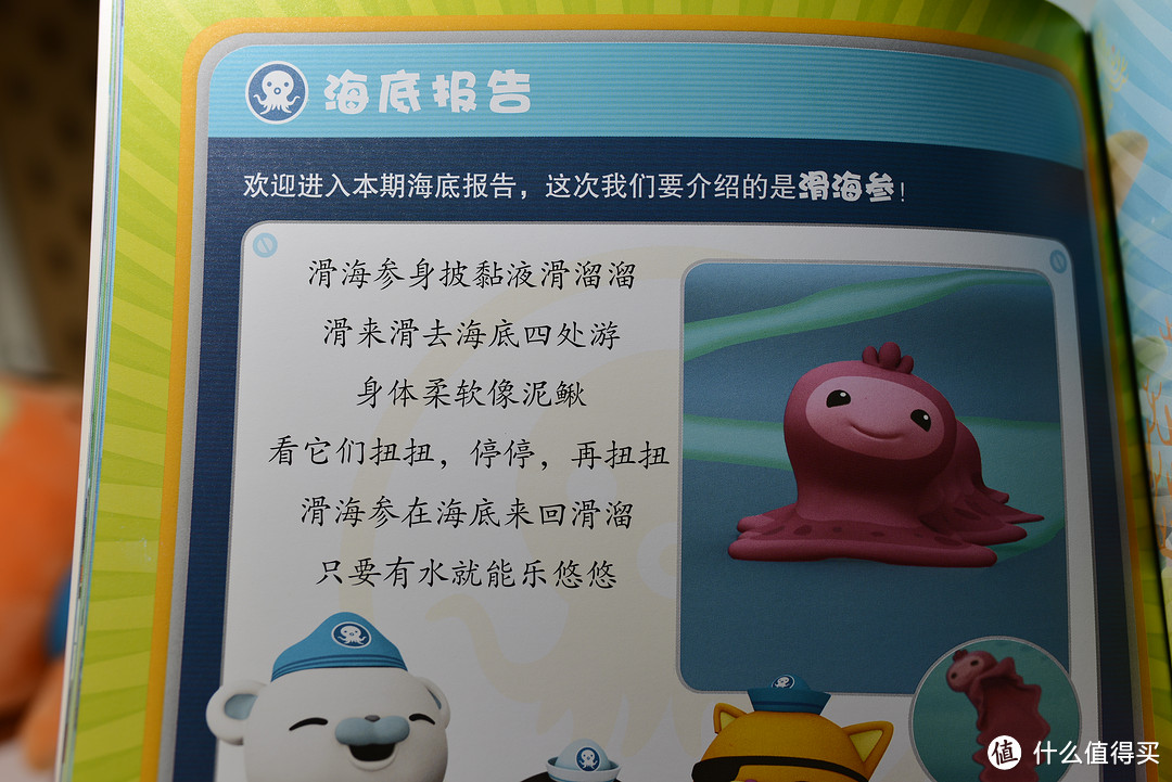 看起来是没有刺的海参 这个找不到对应的网上介绍 应该是海参一种