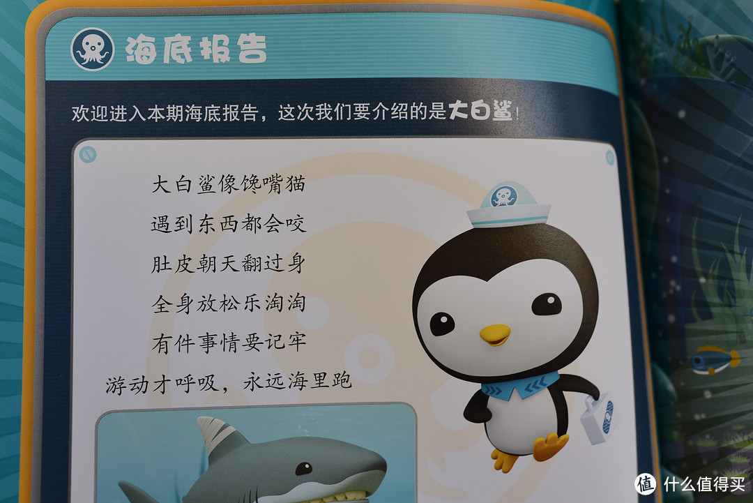 电影里大白鲨可以说是相当吓人了。食物链顶端的捕食者。也是知名度最高的鲨鱼了。大家通过大白鲨的电影可以看得出大白鲨是多么有攻击性，尤其是标志性的背鳍，已经成了海洋恐怖电影的标配了。