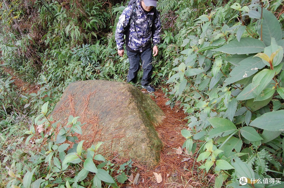 踏山趟水，凯乐石零磨合徒步鞋评测