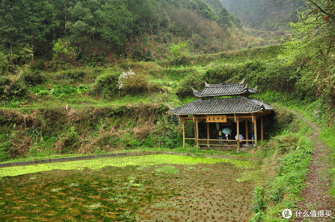 跟着路牌上来的“南花神井”，对于我来说，不外如是，但是对于当地人来说，特意有路牌带路，是不是很看重呢？