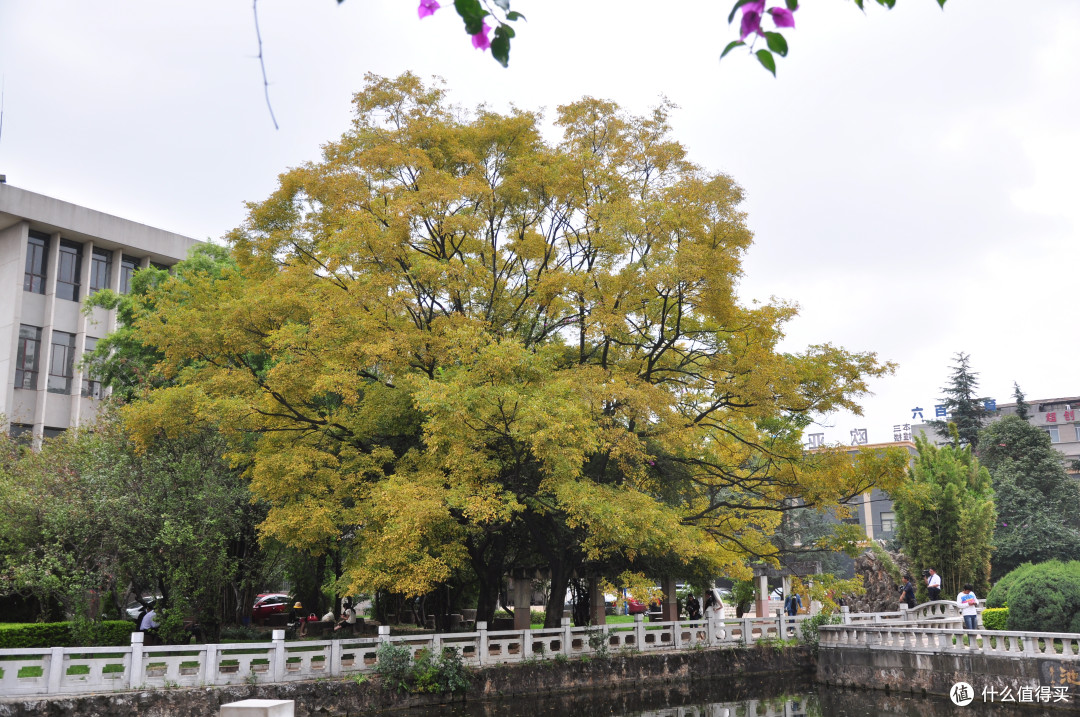 西南联合大学一角