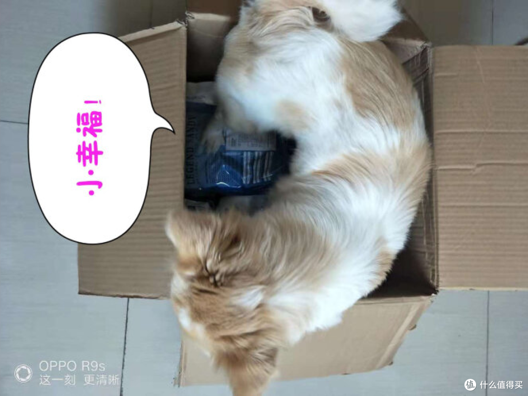 国内唯一取得中国科学院认证的天然犬粮,性价比还超高!你信不信?