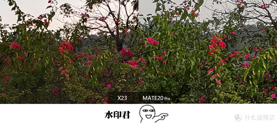 PK相机！请五位小姐姐一起测！还原一个真实的华为Mate20 Pro