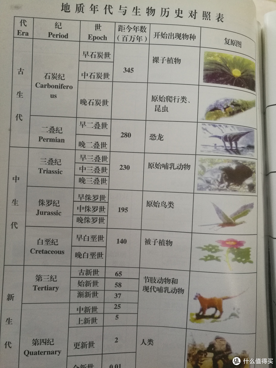 三叶虫古生物化石——迟来的奇葩物晒单