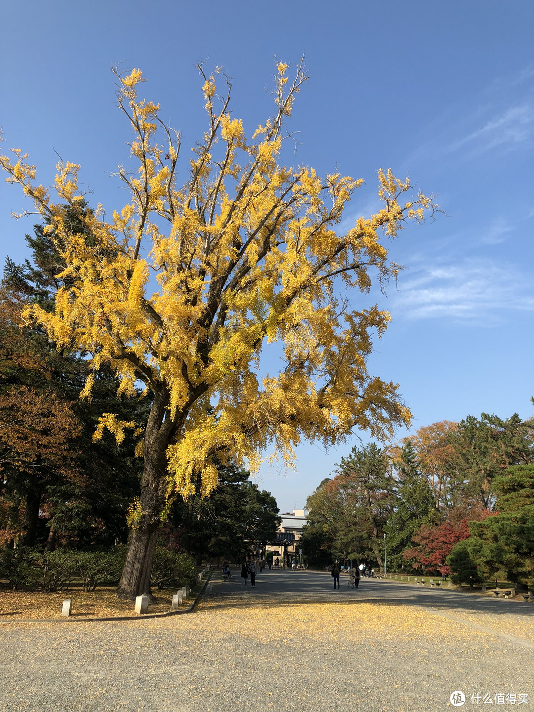 第3次自由行追寻日本枫叶季—关西8天7晚