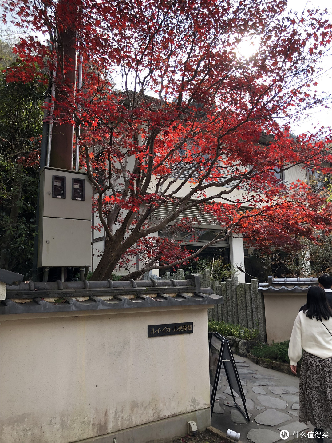 第3次自由行追寻日本枫叶季—关西8天7晚