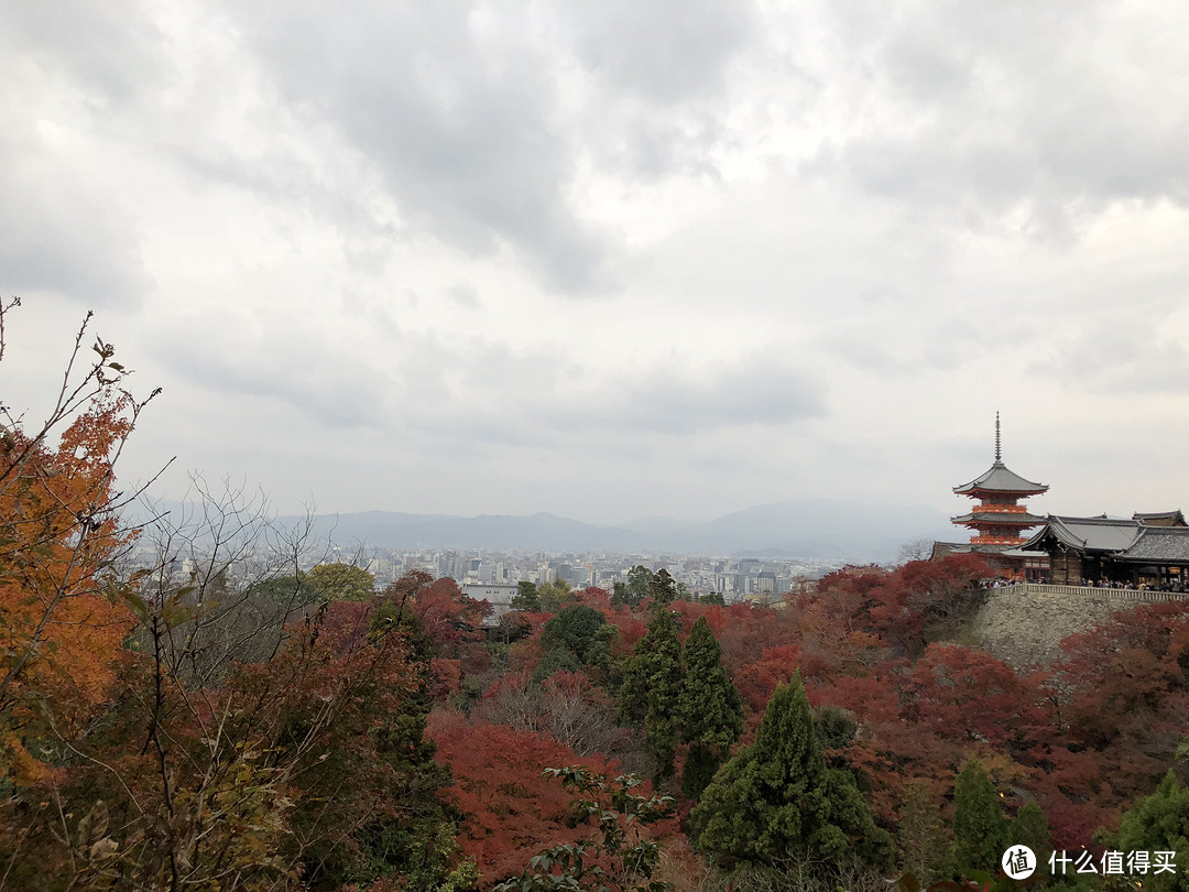 第3次自由行追寻日本枫叶季—关西8天7晚