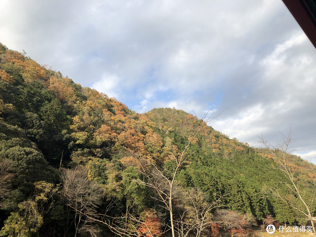 第3次自由行追寻日本枫叶季—关西8天7晚