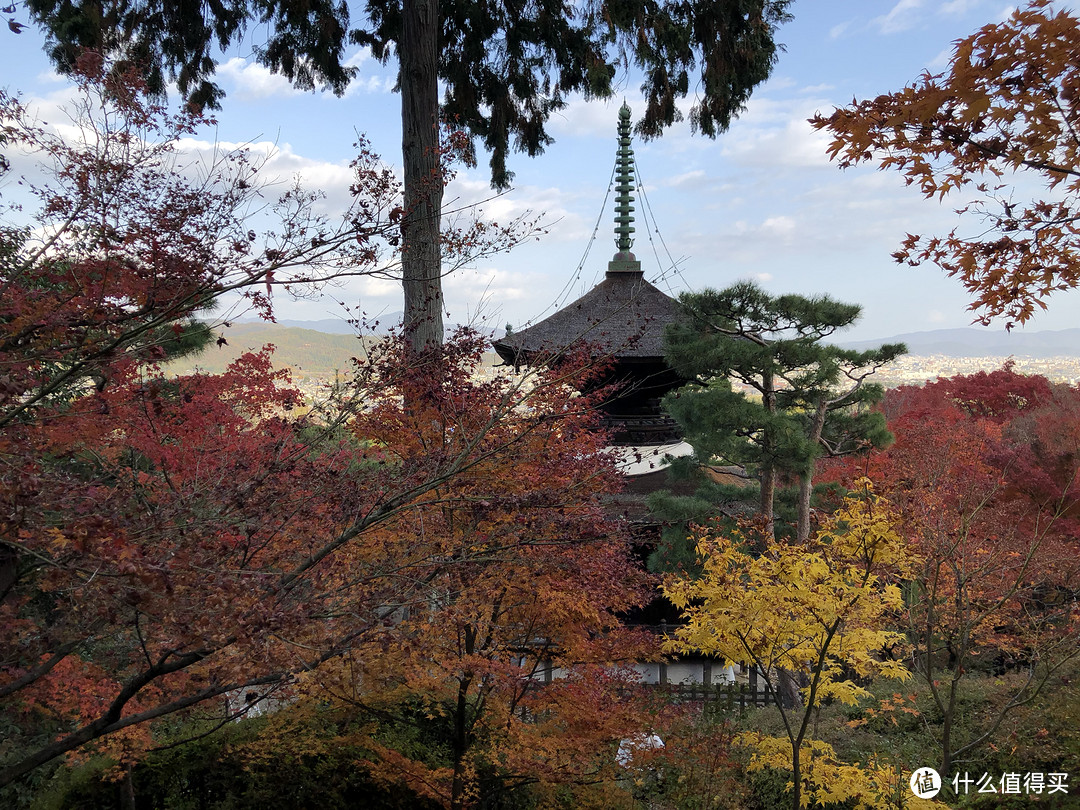 第3次自由行追寻日本枫叶季—关西8天7晚