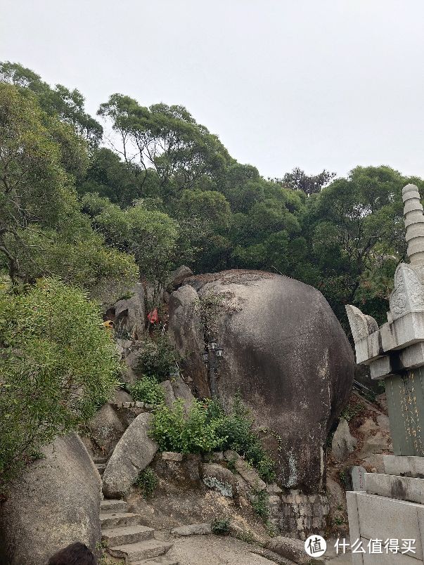 这块石头我觉得很像大象屁股