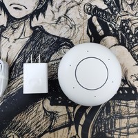 荣耀YOYO智能音箱使用感受(APP|接口)