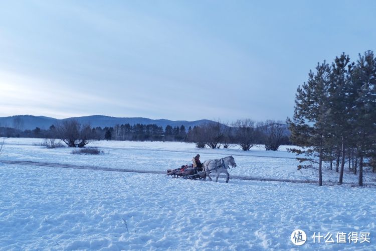 马拉爬犁也是一项挺受欢迎的项目，不过嘛，要是有狗拉雪橇或者驯鹿雪橇就更好啦。