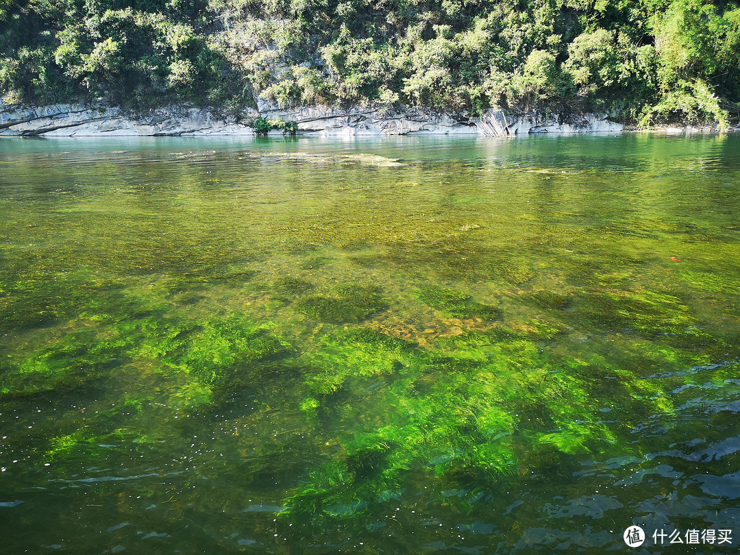 清澈见底还能看见水草