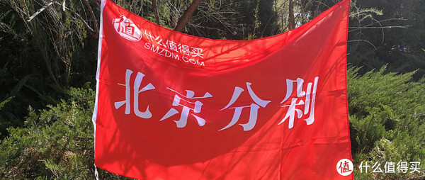 我与张大妈的2018:普通值友的普通总结
