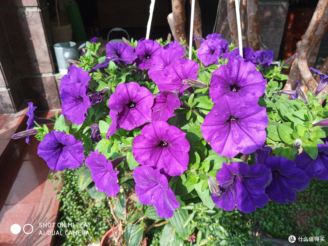 最便宜的小米手机，轻便顺畅PLAY - 小米 PLAY 智能手机体验