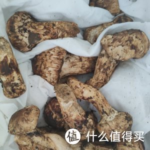 松茸油，大自然的恩赐，每天都可以有