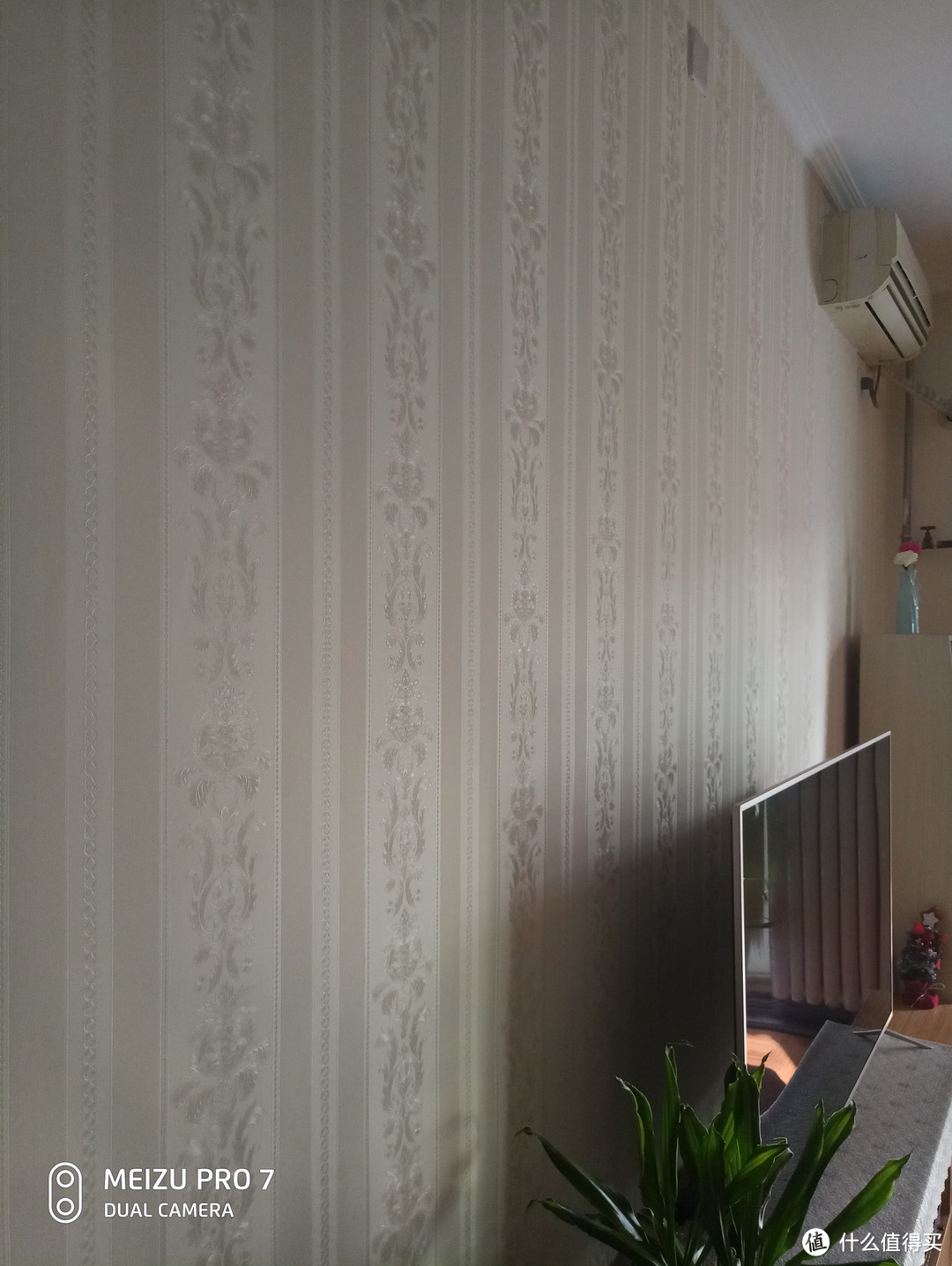 客厅的壁纸细节来一发，侧面能看出花的纹路，正面会淡很多