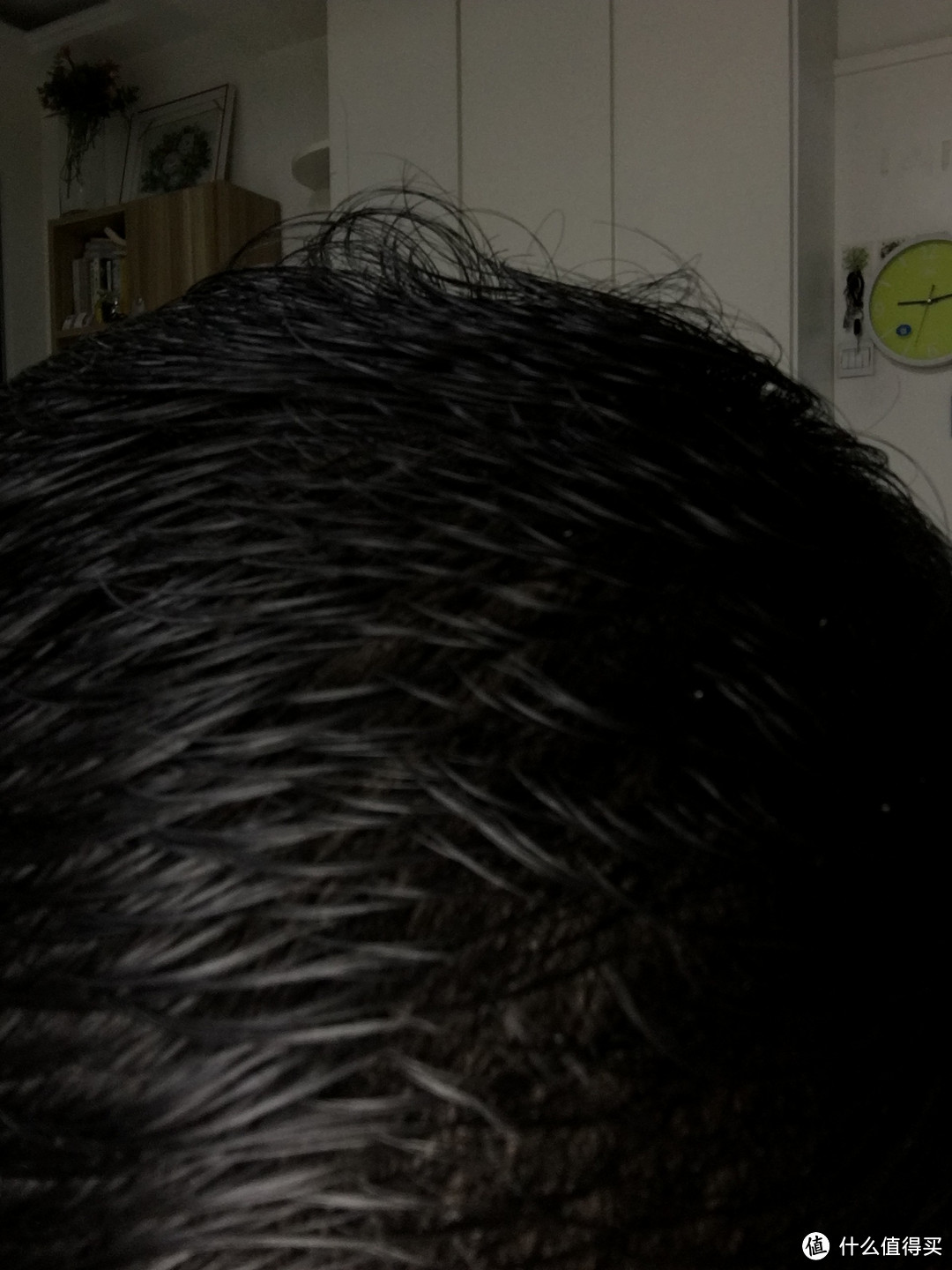 一次超级紧张的众测--11种洗发水横评
