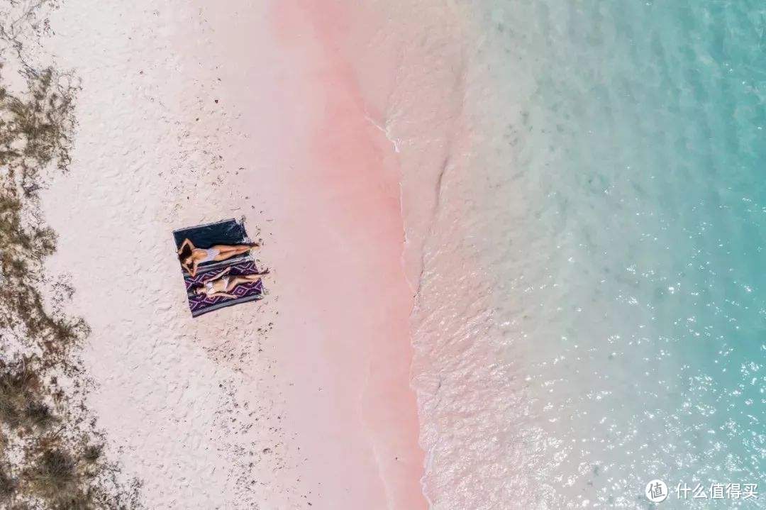 巴厘岛隔壁的冷门海岛，有少女心爆棚的粉红沙滩也有超酷的科莫多巨蜥