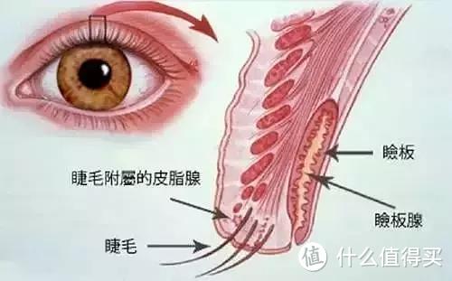 纹眉、纹眼线，这些到底值得尝试吗？