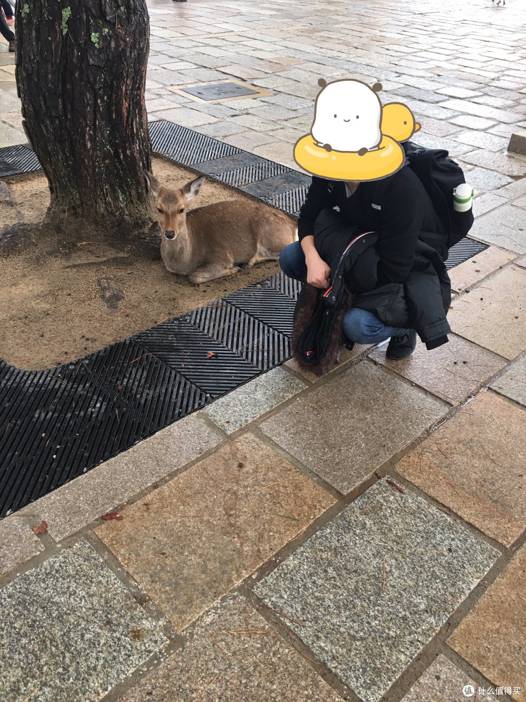 2018年初遇大阪—穷游散心—扬泰机场直飞关西