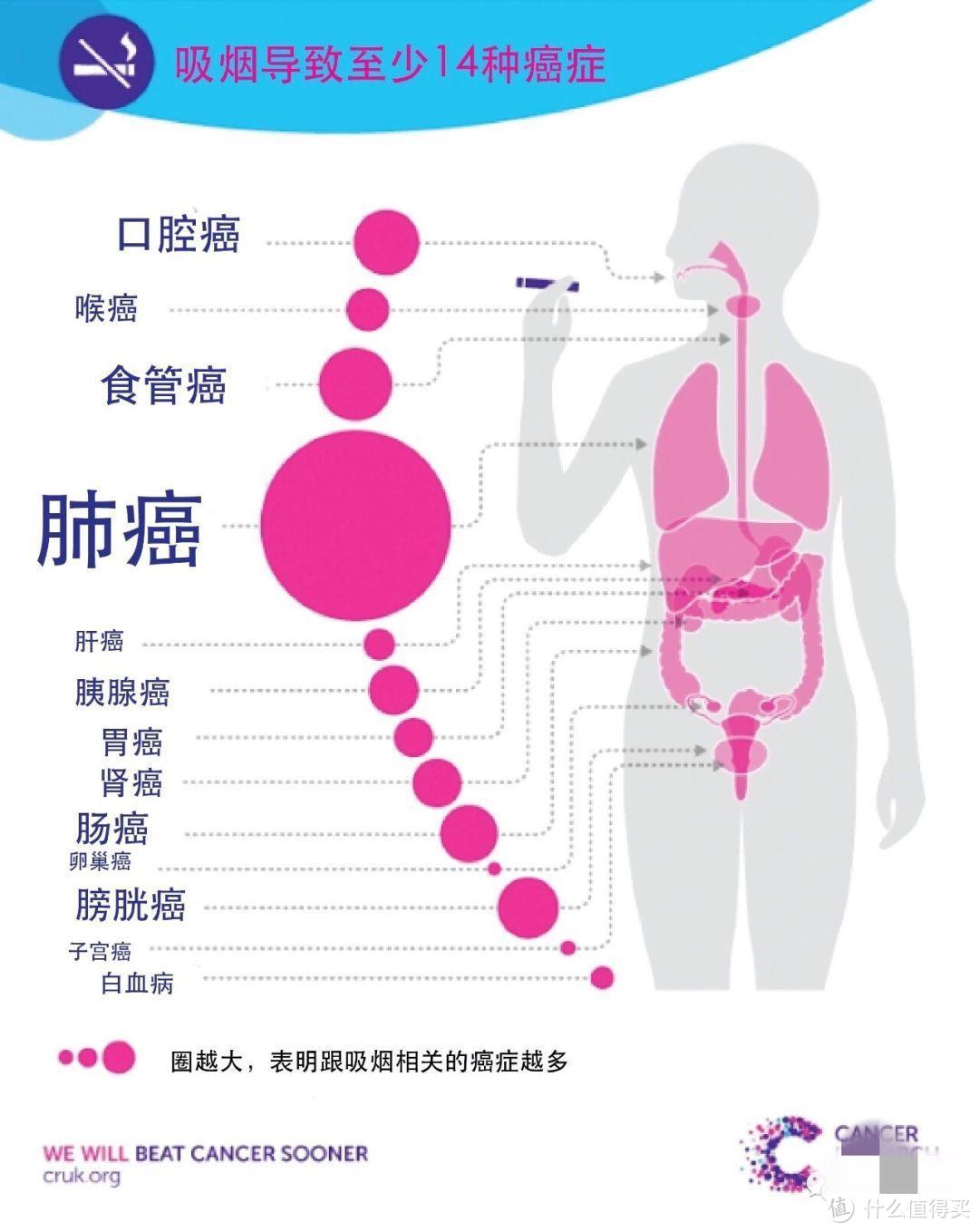 竹子说保：真相！为什么每年都体检，查出癌症的时候却已经是晚期？