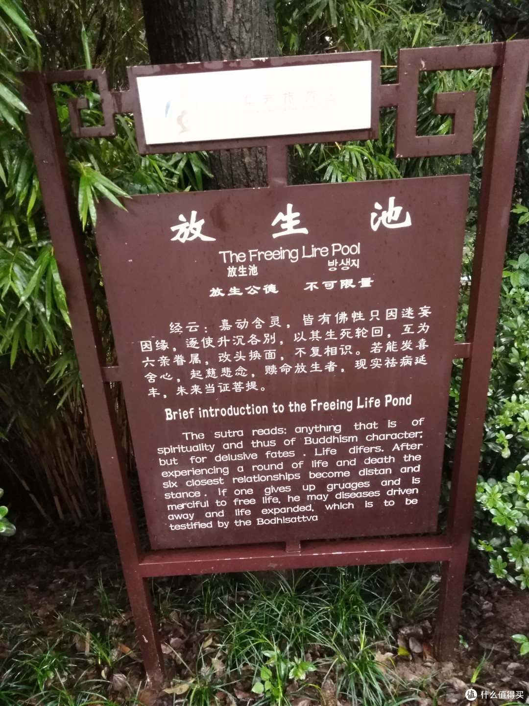 重庆华岩寺、丽江古城、泸沽湖、昆明花市懒人游