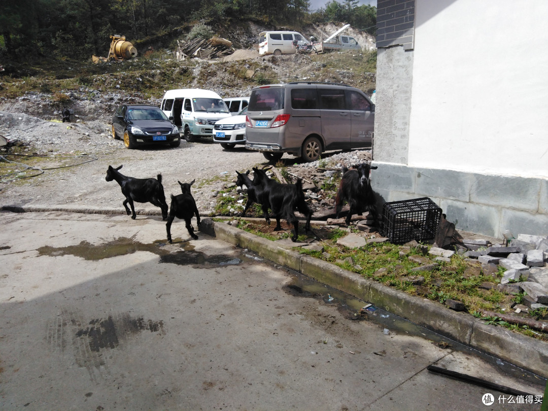 重庆华岩寺、丽江古城、泸沽湖、昆明花市懒人游
