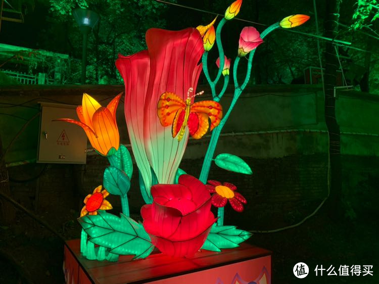 迎新春观赏彩灯哪里最值得去？第二十五届自贡国际恐龙灯会不可错过
