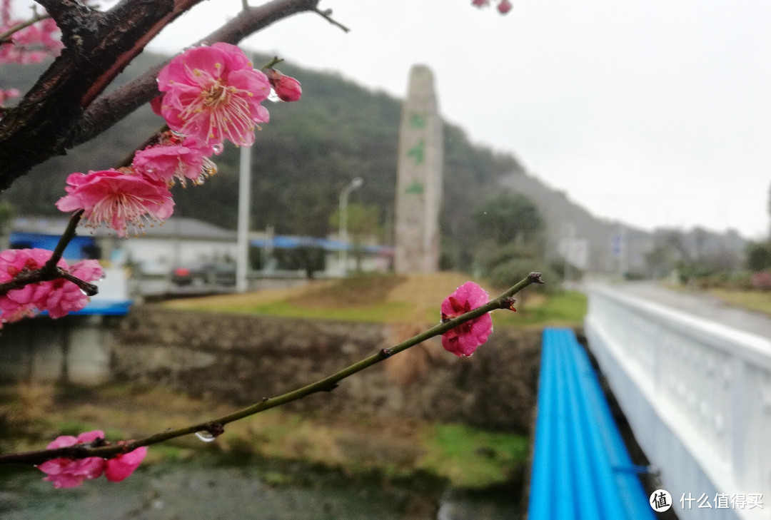 九峰山 网岙景区-宁波北仑