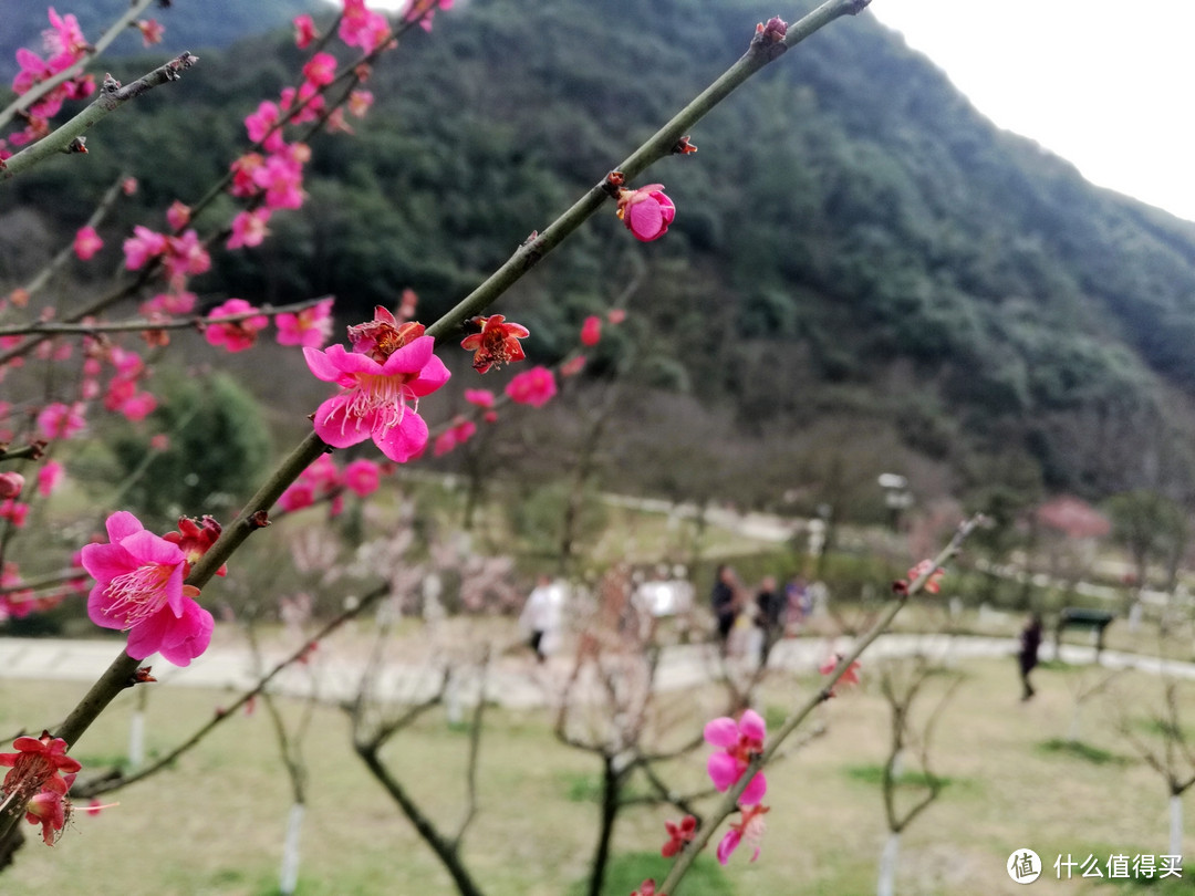 九峰山 网岙景区-宁波北仑