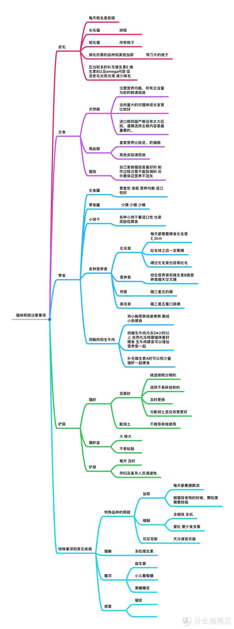 喂，你有一只大脸猫要查收，大脸加菲养成记，大型吸猫现场