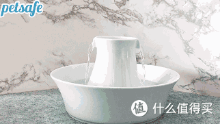测评|何方神级饮水器?隔壁主子都馋哭了!
