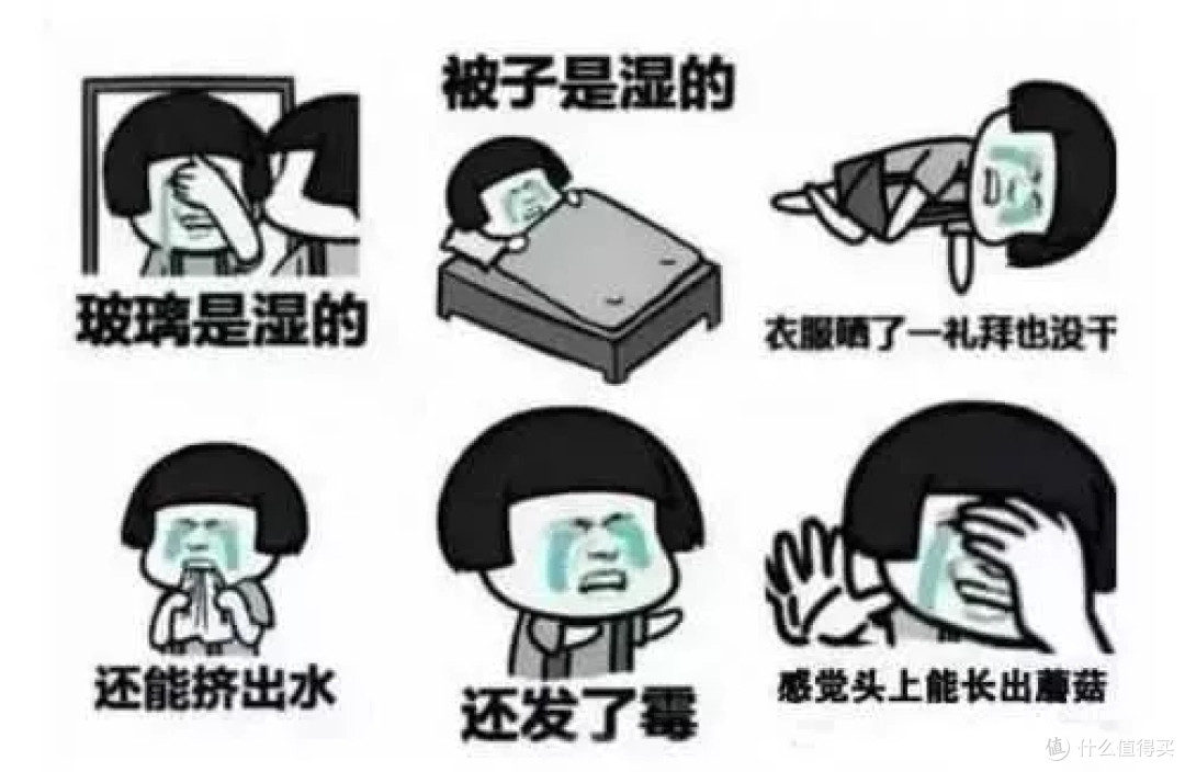 【众测狂欢】考拉工厂店家用多功能高效除湿机评测