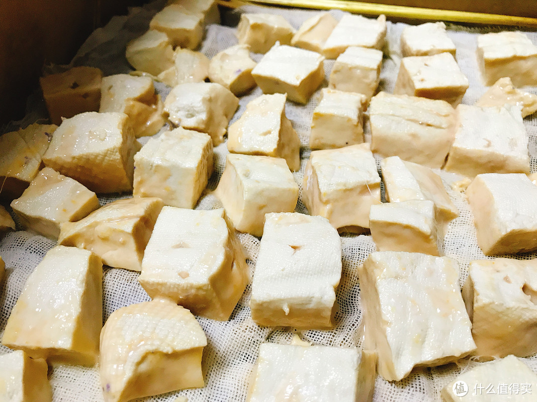 发酵完毕的豆腐块