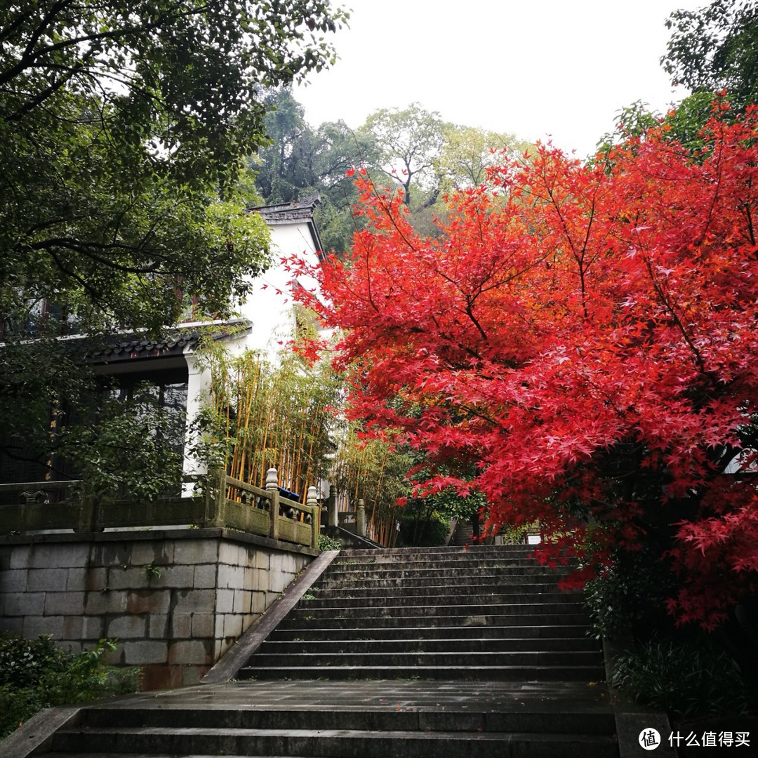 杭州本地人推荐的小众景点，人少景美交通便利，门票只要8块