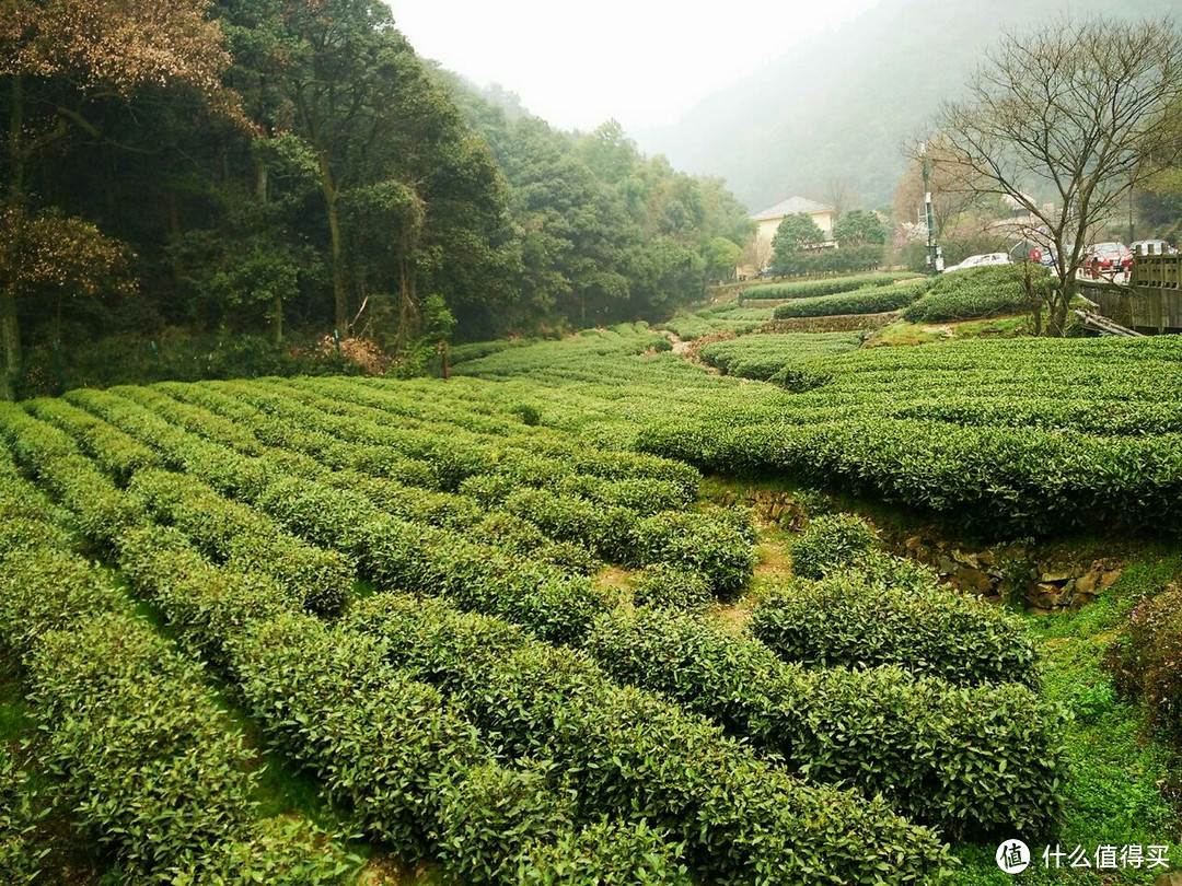 杭州本地人推荐的小众景点，人少景美交通便利，门票只要8块