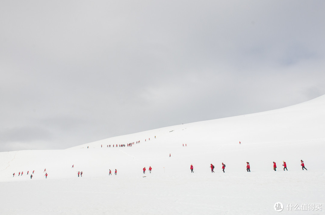10万/人去一趟南极，到底值不值？