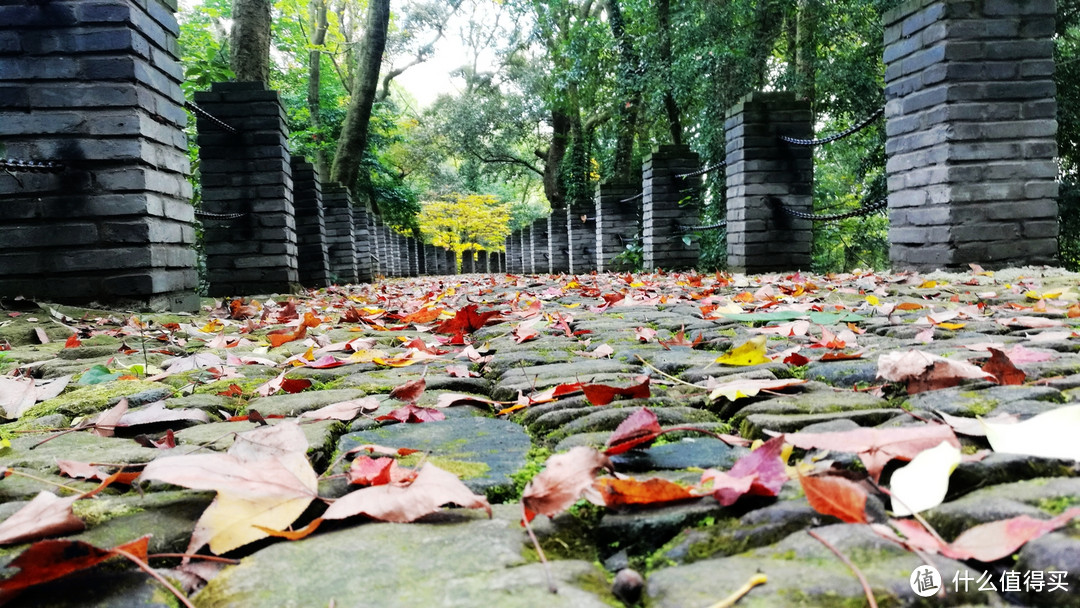 景区里面