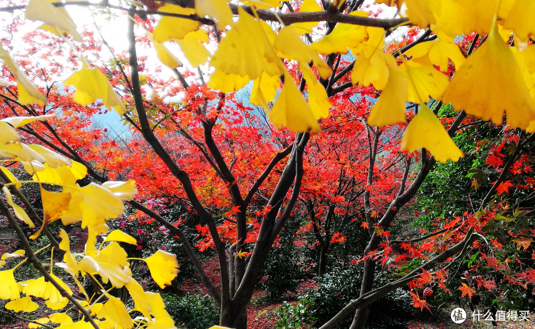 九峰山-瑞岩风景区