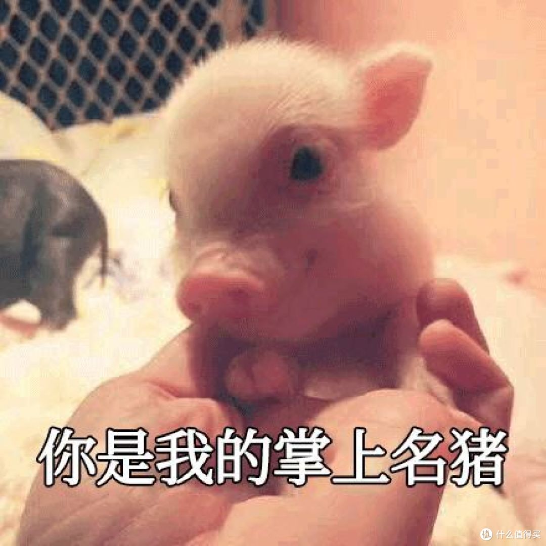 求！求一条值得群发的新年祝福！