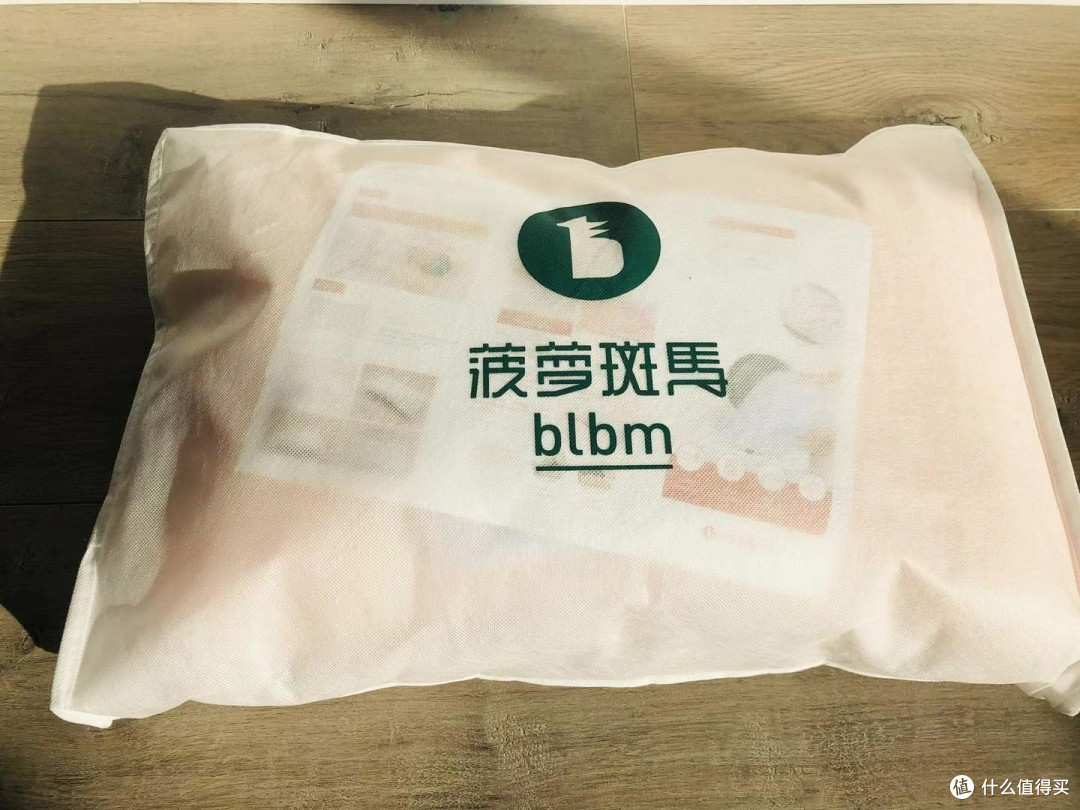 家用出差两相宜,菠萝斑马快眠枕 —— 这小东西设计的还挺有趣