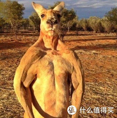 总是说盘它,那盘完后呢?袋鼠皮收纳袋了解下