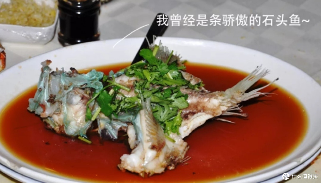 东南亚5大热门旅游地海鲜测评
