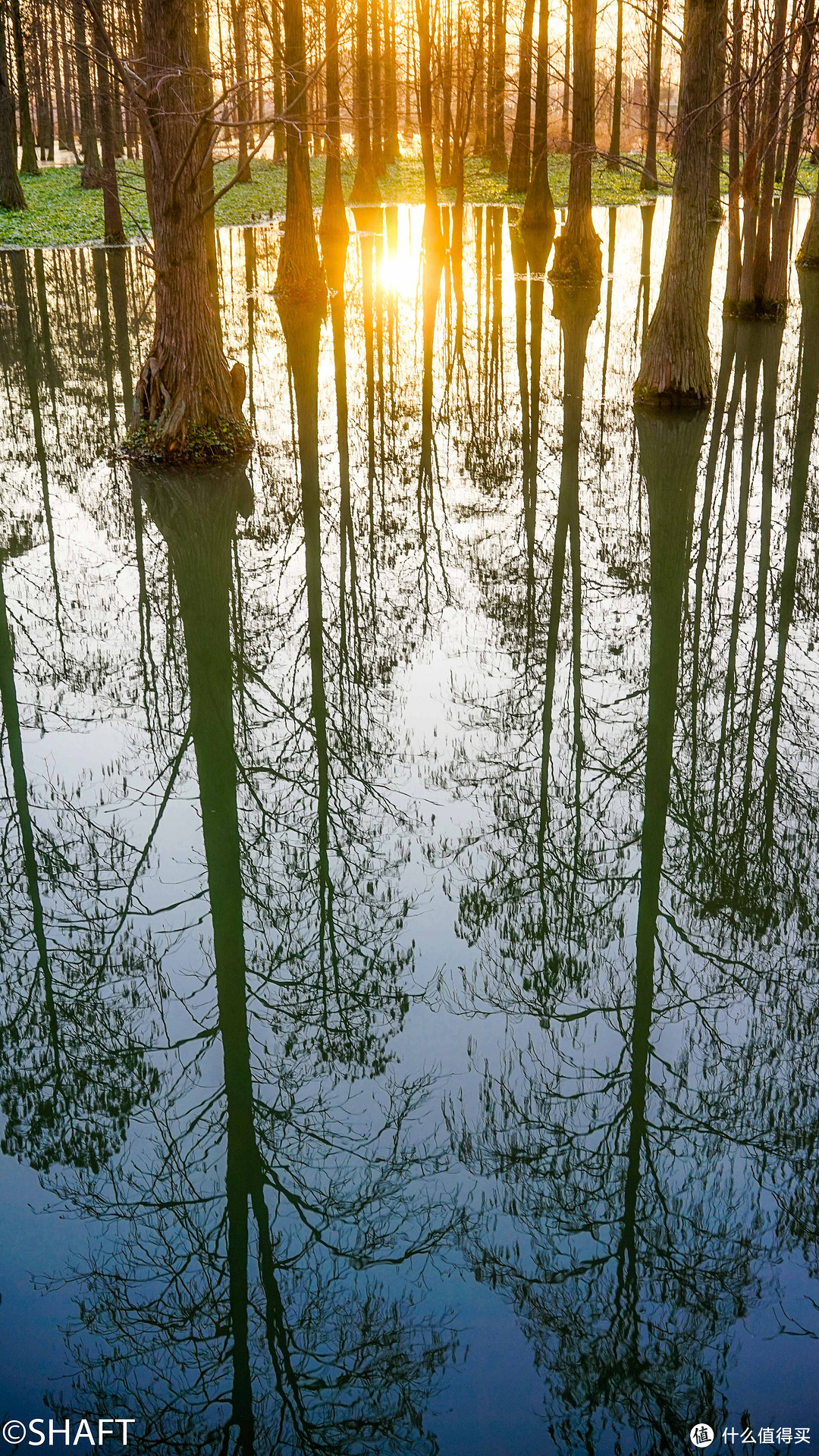 上海青西郊野公园游记