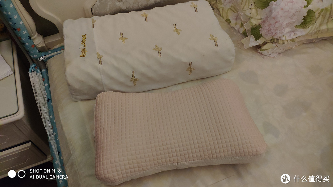 只愿你有个美梦———菠萝斑马 快眠枕众测试用