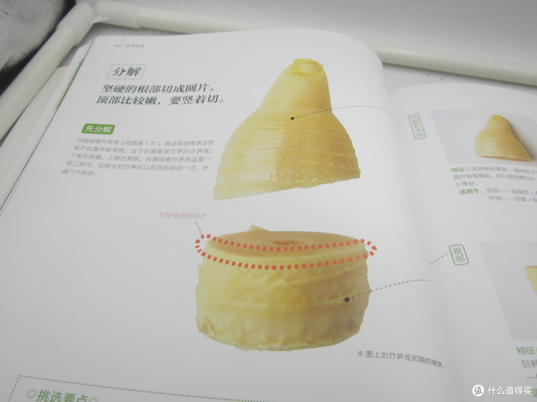 过年在家,我们可以读读这些 | 新春读书计划
