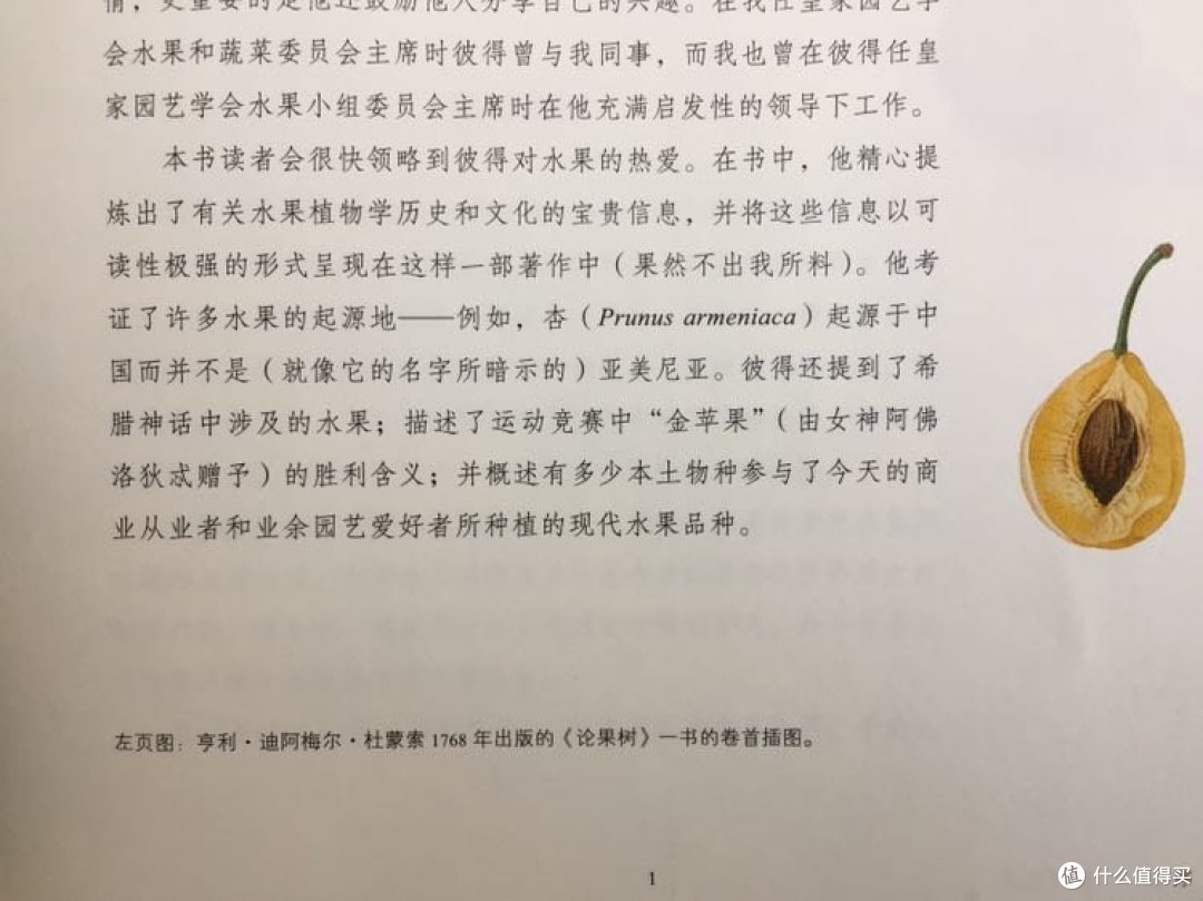 对水果的热爱我也有啊啊啊